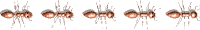 clip_image022