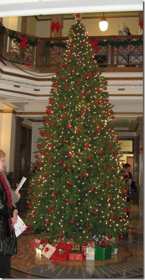 big Christmast tree