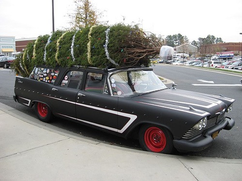 My Clark Griswald Christmas Tree Mombie Fitness
