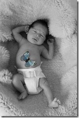 Dom newborn
