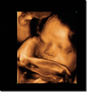 Baby C 2.0-1