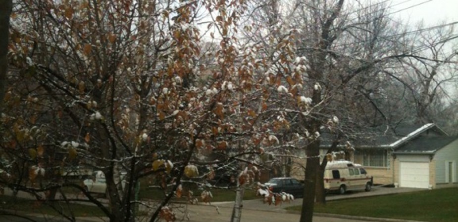 photo-51